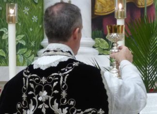 (01/02.11.2018.) Svete Mise na svetkovinu Svih svetih i na Dušni dan u 11 sati